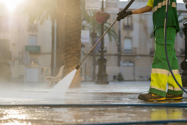 Best Sidewalk and Walkway Cleaning  in Holly Hill, SC